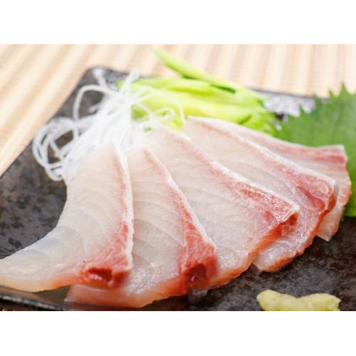 Sashimi – Nghệ Thuật Ẩm Thực Nhật Bản